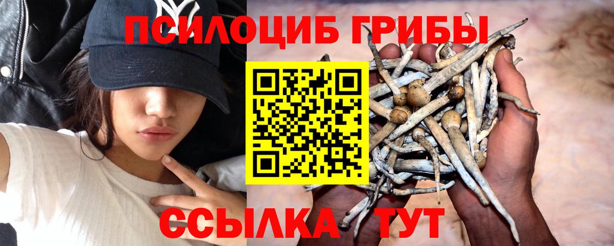 Псилоцибиновые грибы MAGIC MUSHROOMS Северск